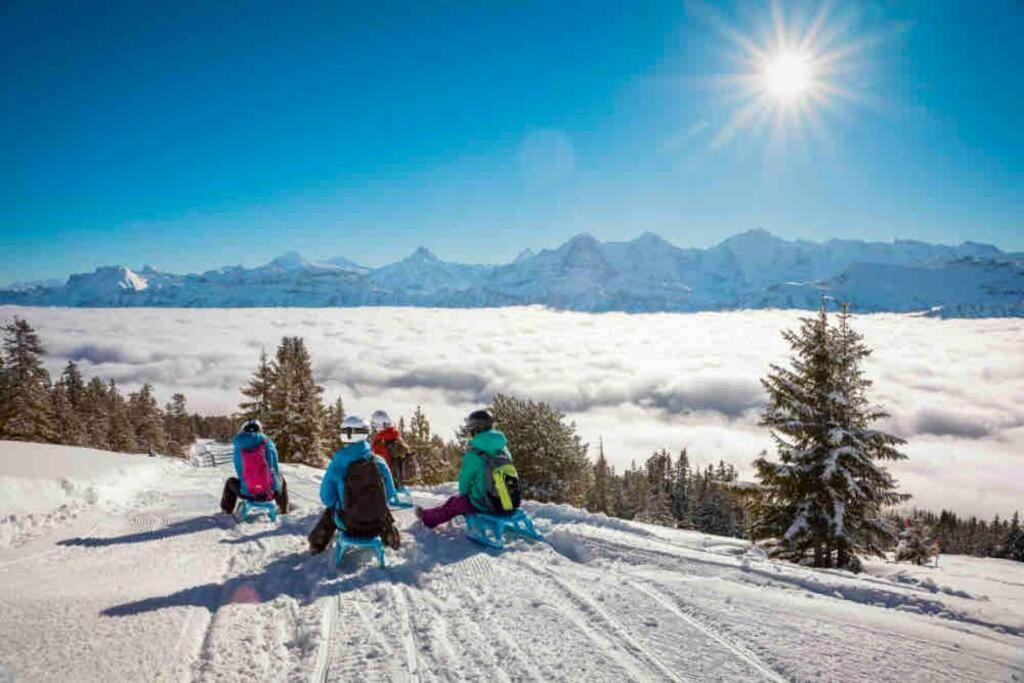 Chalet Mignon - Your Vacation Oasis At Lake Brienz Bönigen المظهر الخارجي الصورة