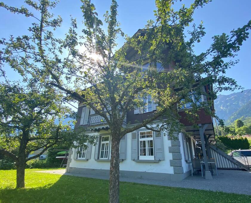 Chalet Mignon - Your Vacation Oasis At Lake Brienz Bönigen المظهر الخارجي الصورة